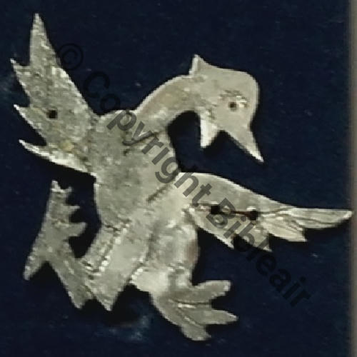 OISEAU INCONNU Rrc.B.THEVENET via H.GUYOT 